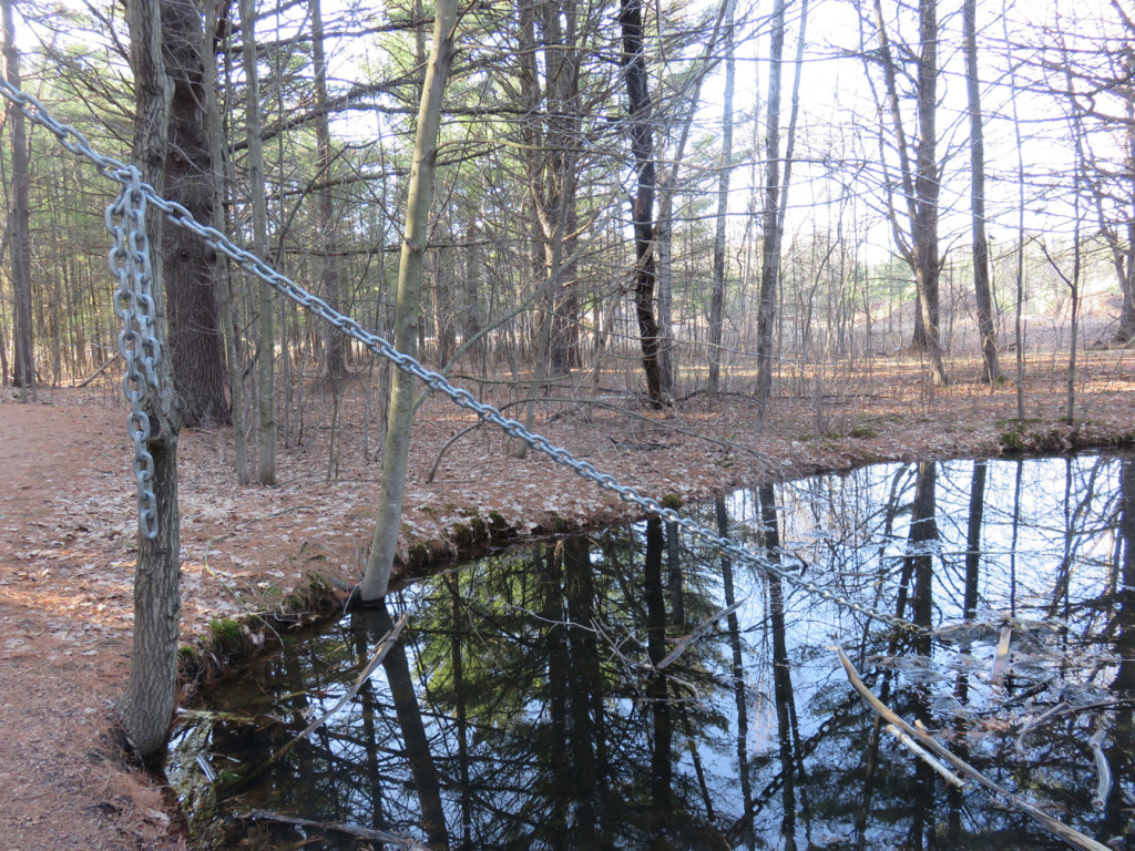 Tom Scicluna in the Stevnes Point Sculpture Park