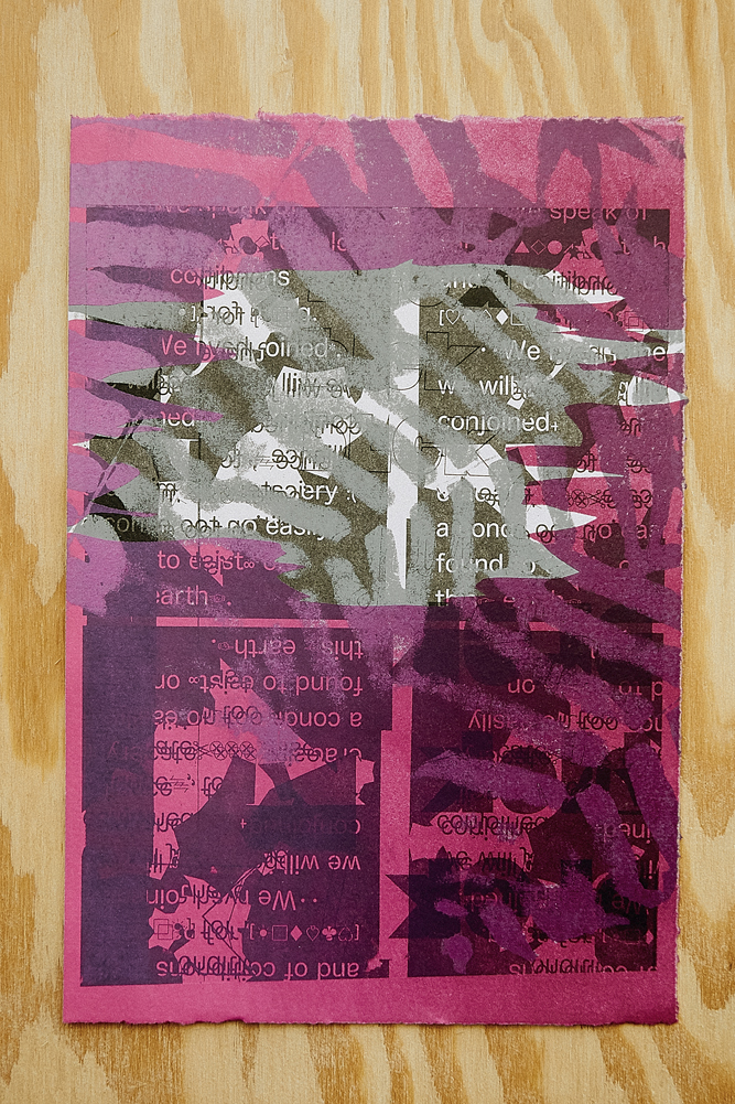 Monoprint in grey, pink and black, with text, images of fern leaves, and an abstract form.
