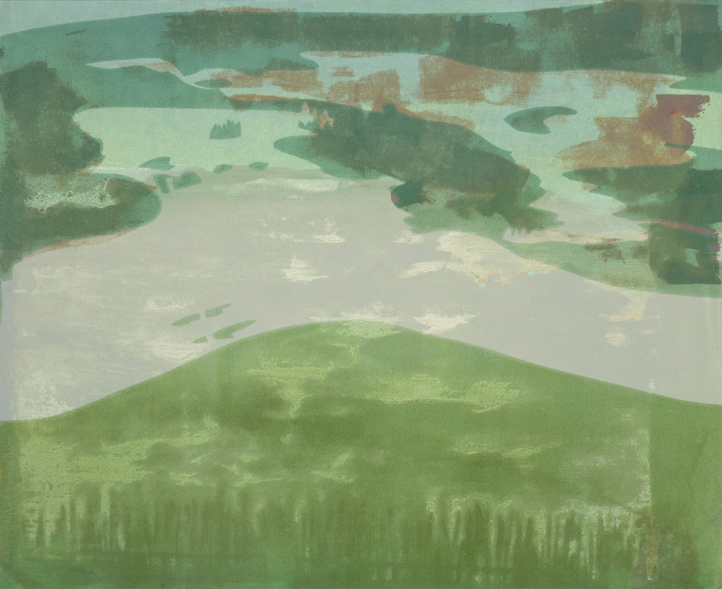 A print in blues, greens and greys depicting a stylized ariel view of the Everglades.