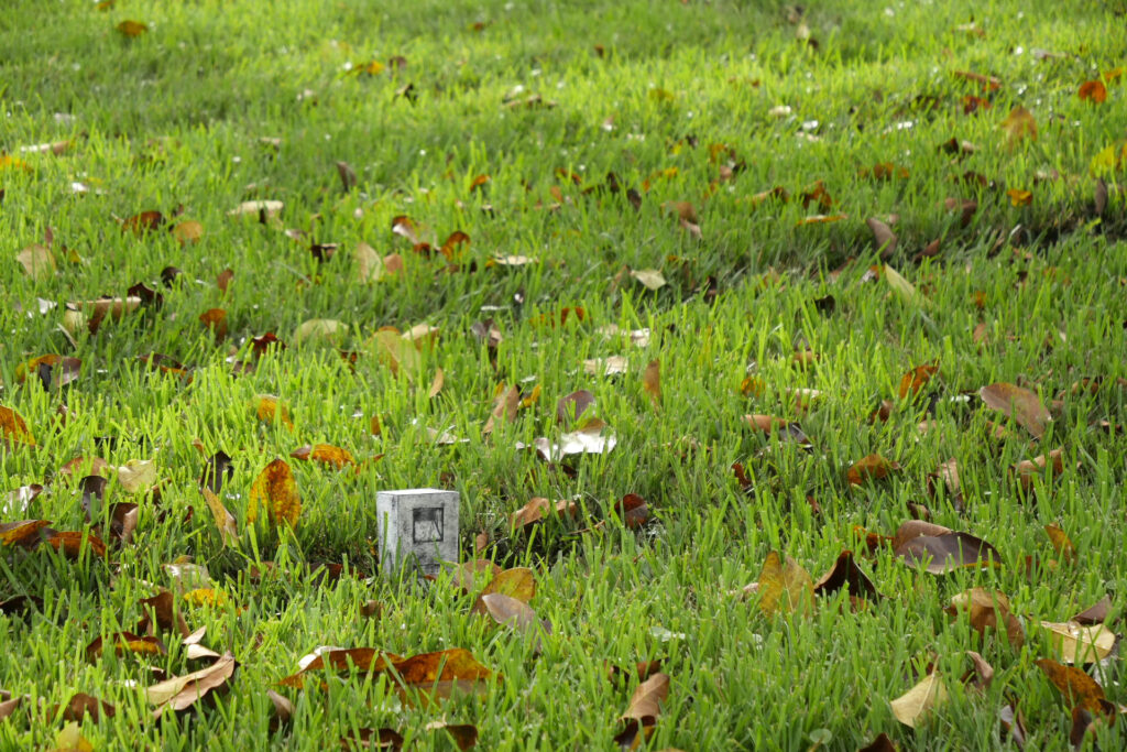 A photo of a small, collagraph sculpture nestled in a rut among some St. Augustine grass with scattered leaves and dappled sunlight.