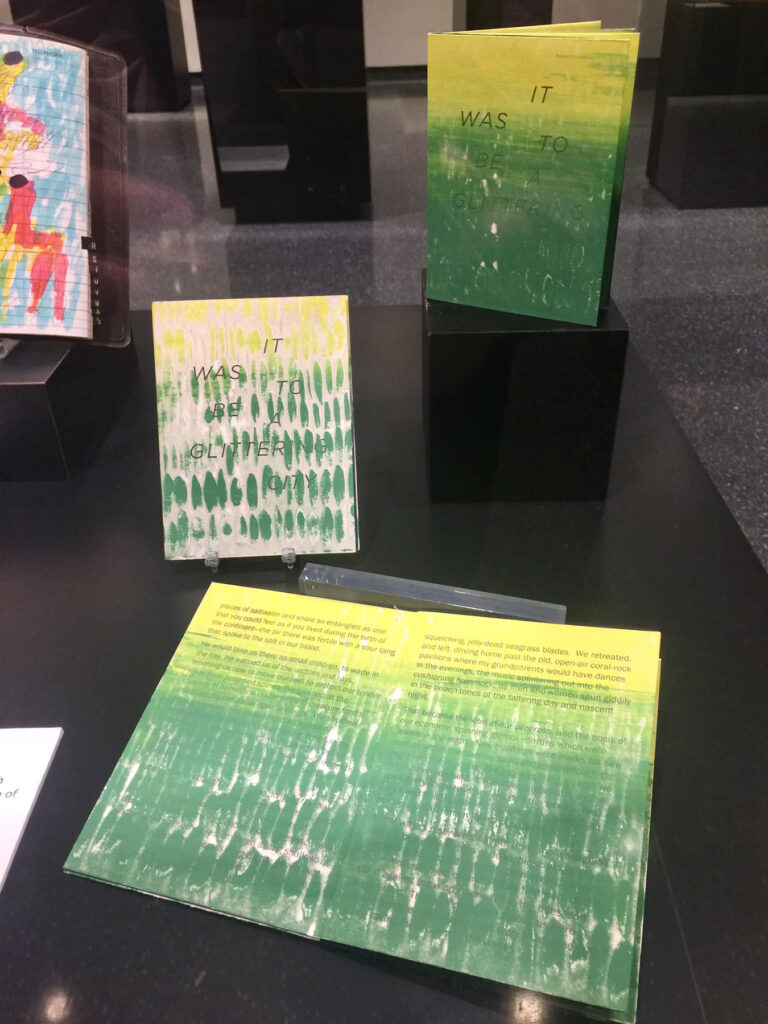 Image depicts brightly-colored hand-made artists' books in a vitrine.